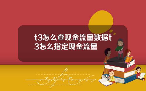t3怎么查现金流量数据t3怎么指定现金流量