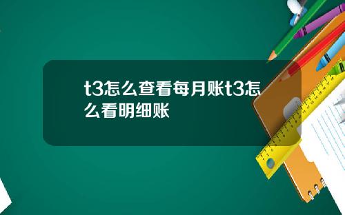 t3怎么查看每月账t3怎么看明细账