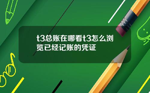 t3总账在哪看t3怎么浏览已经记账的凭证