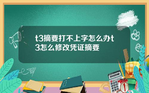 t3摘要打不上字怎么办t3怎么修改凭证摘要