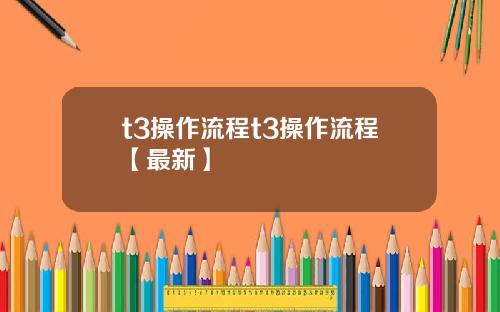t3操作流程t3操作流程【最新】