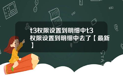t3权限设置到明细中t3权限设置到明细中去了【最新】