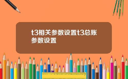 t3相关参数设置t3总账参数设置