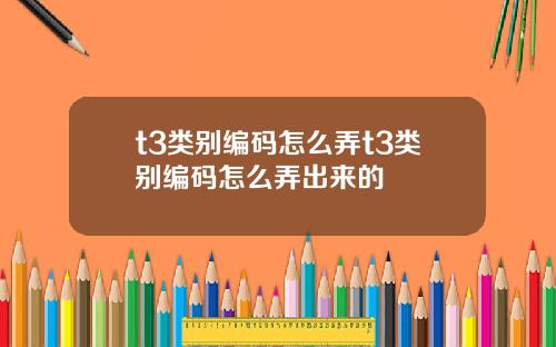 t3类别编码怎么弄t3类别编码怎么弄出来的