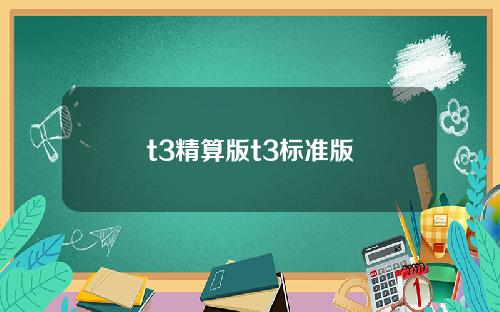t3精算版t3标准版
