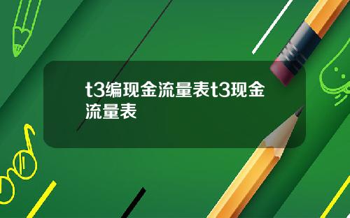 t3编现金流量表t3现金流量表