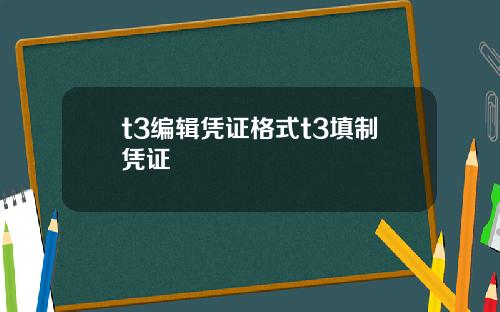 t3编辑凭证格式t3填制凭证
