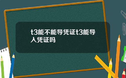 t3能不能导凭证t3能导入凭证吗