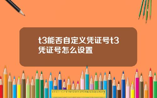 t3能否自定义凭证号t3凭证号怎么设置