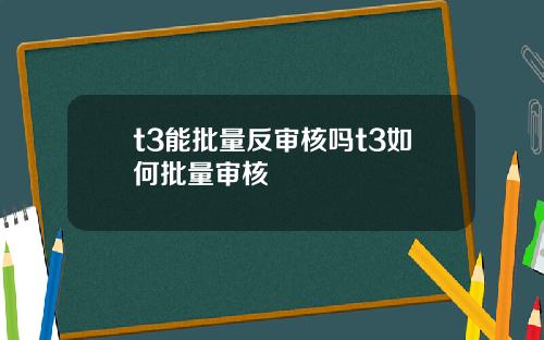 t3能批量反审核吗t3如何批量审核