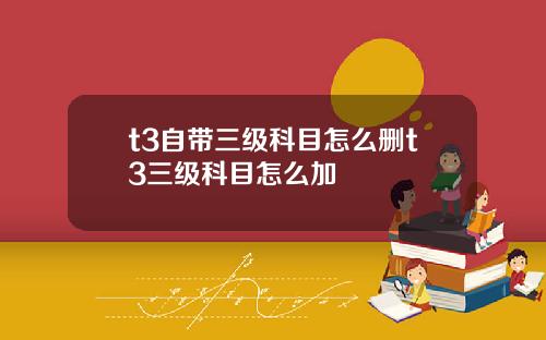 t3自带三级科目怎么删t3三级科目怎么加