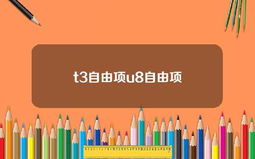 t3自由项u8自由项