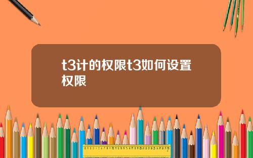 t3计的权限t3如何设置权限