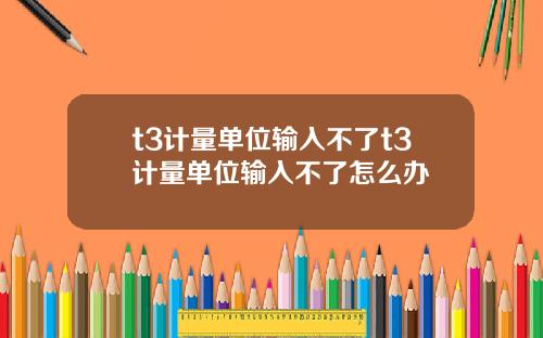t3计量单位输入不了t3计量单位输入不了怎么办