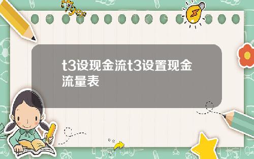 t3设现金流t3设置现金流量表