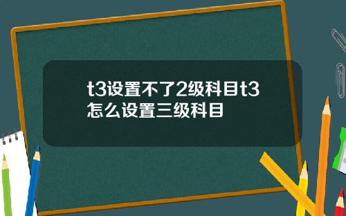 t3设置不了2级科目t3怎么设置三级科目