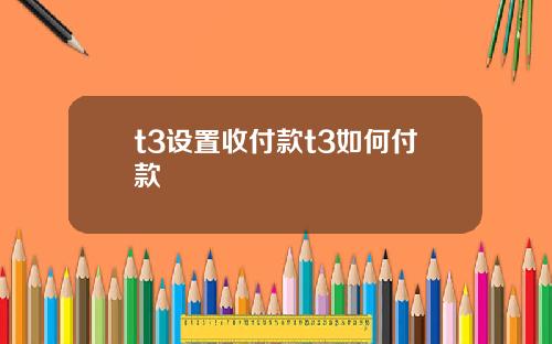 t3设置收付款t3如何付款