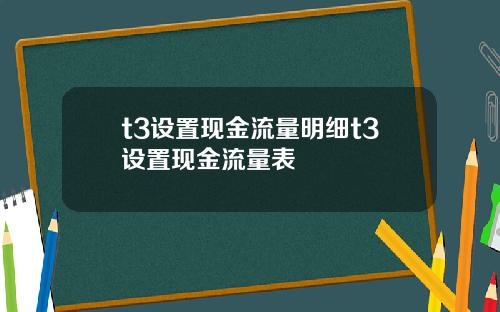 t3设置现金流量明细t3设置现金流量表