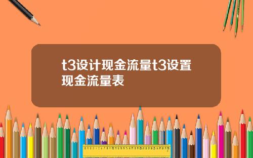 t3设计现金流量t3设置现金流量表