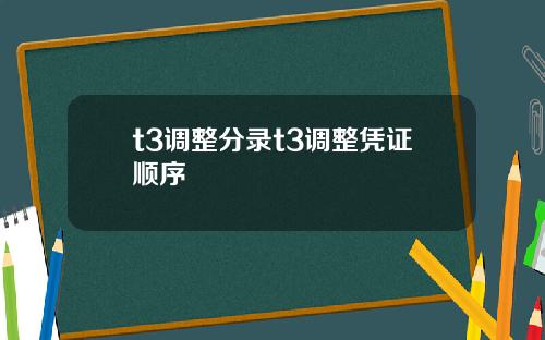 t3调整分录t3调整凭证顺序