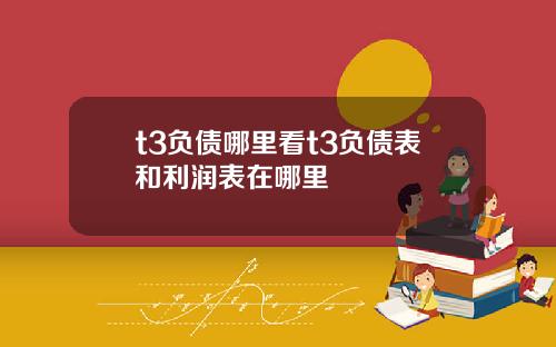 t3负债哪里看t3负债表和利润表在哪里