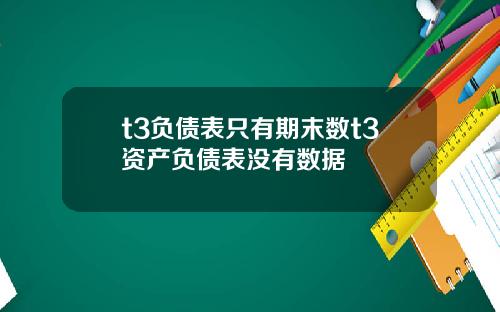 t3负债表只有期末数t3资产负债表没有数据