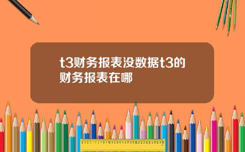 t3财务报表没数据t3的财务报表在哪
