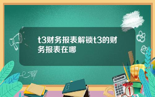 t3财务报表解锁t3的财务报表在哪