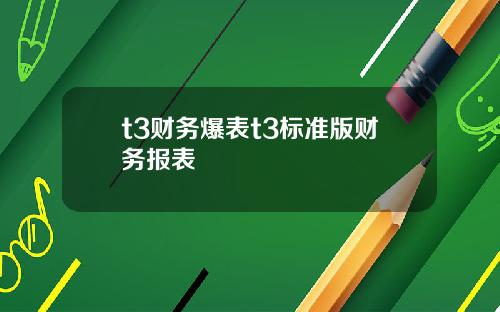 t3财务爆表t3标准版财务报表