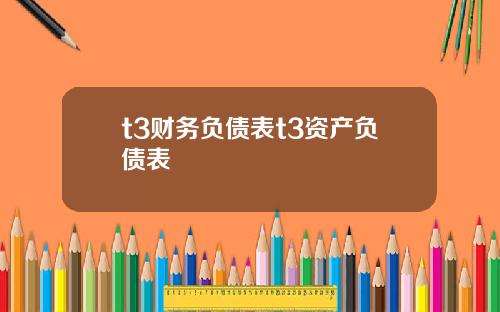 t3财务负债表t3资产负债表