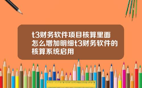 t3财务软件项目核算里面怎么增加明细t3财务软件的核算系统启用