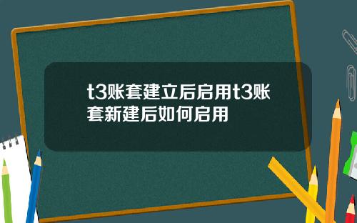 t3账套建立后启用t3账套新建后如何启用