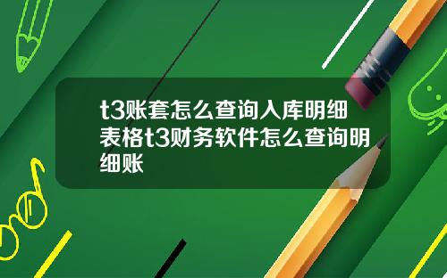 t3账套怎么查询入库明细表格t3财务软件怎么查询明细账