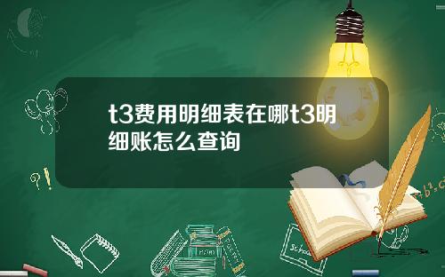 t3费用明细表在哪t3明细账怎么查询