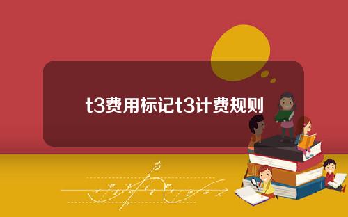 t3费用标记t3计费规则