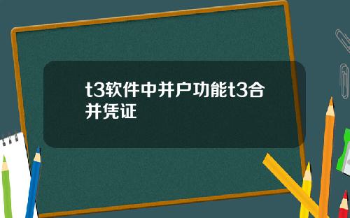 t3软件中并户功能t3合并凭证