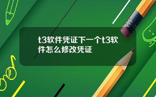 t3软件凭证下一个t3软件怎么修改凭证
