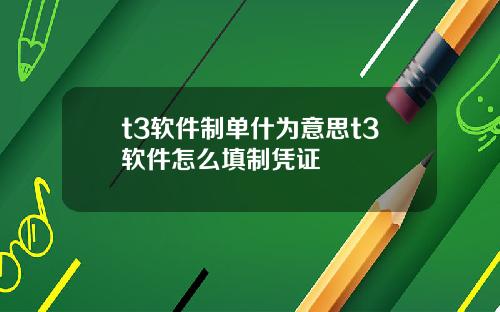 t3软件制单什为意思t3软件怎么填制凭证