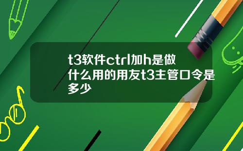 t3软件ctrl加h是做什么用的用友t3主管口令是多少