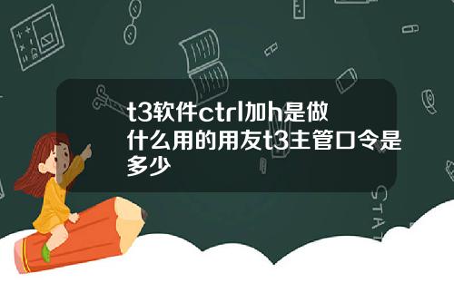 t3软件ctrl加h是做什么用的用友t3主管口令是多少