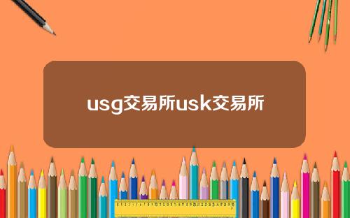 usg交易所usk交易所