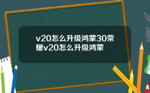 v20怎么升级鸿蒙30荣耀v20怎么升级鸿蒙