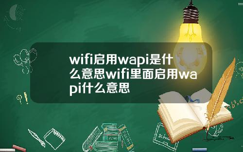wifi启用wapi是什么意思wifi里面启用wapi什么意思