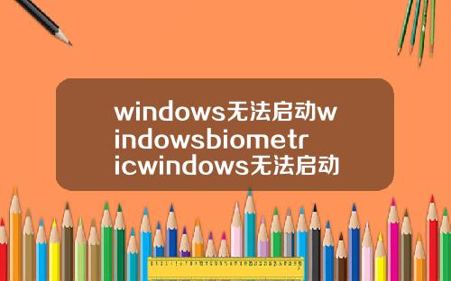 windows无法启动windowsbiometricwindows无法启动windowsBiometric