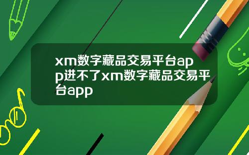 xm数字藏品交易平台app进不了xm数字藏品交易平台app
