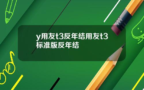 y用友t3反年结用友t3标准版反年结