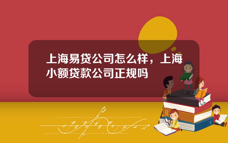 上海易贷公司怎么样，上海小额贷款公司正规吗