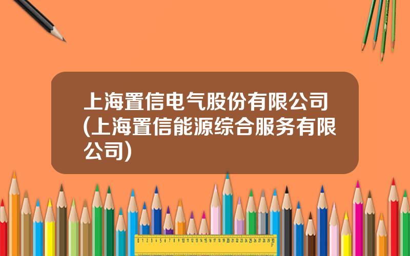 上海置信电气股份有限公司(上海置信能源综合服务有限公司)