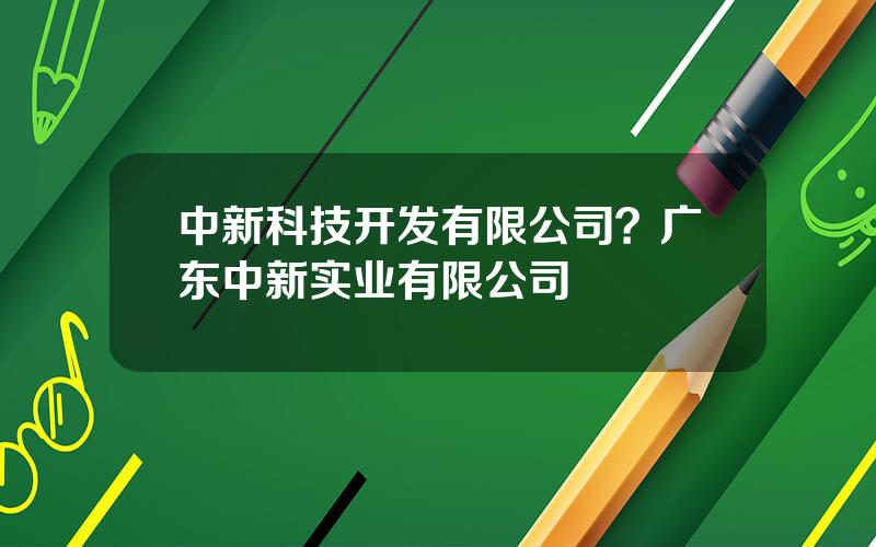 中新科技开发有限公司？广东中新实业有限公司