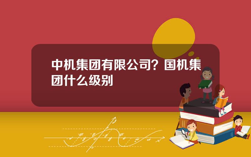 中机集团有限公司？国机集团什么级别